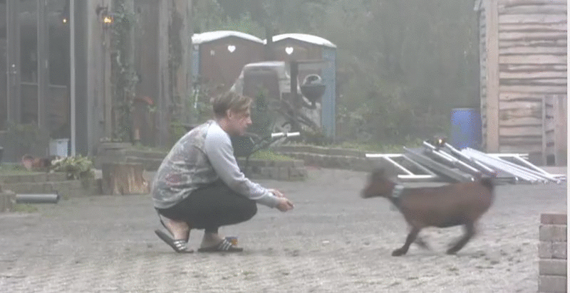 a45d9f8030ee7e5df6bb5d4c4c1796d5.gif