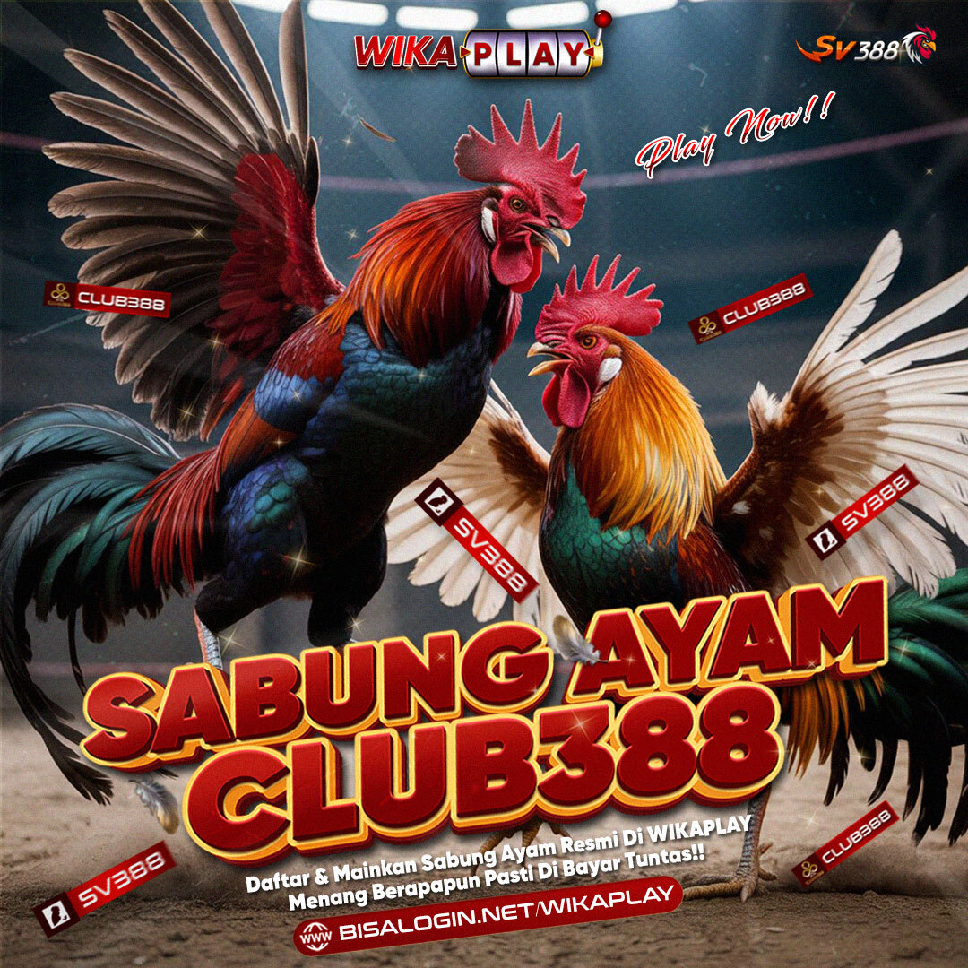 WIKAPLAY : Agen Sabung Ayam Online Club388 Terpercaya