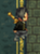 [Image: a647b9f09ac7e2159ab072eff15047eb.png]