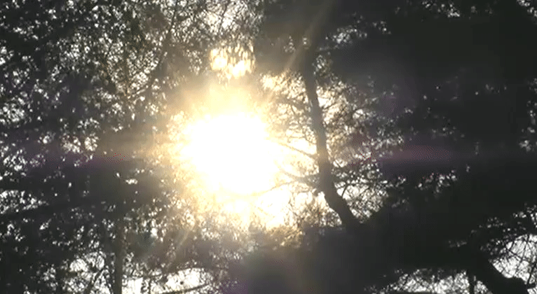 a6623e4924a677514a4ef4531956e5b3.gif