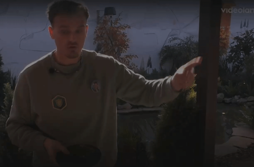 a6926b9460c8612fc6f123fd5d045df9.gif