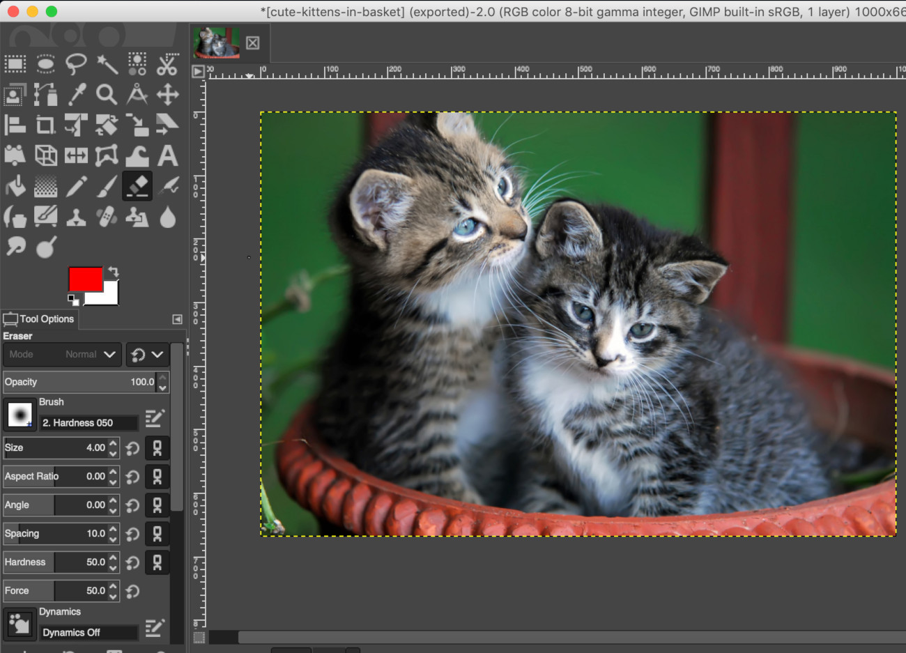 Screenshot of GIMP scaling down the size of the original kittens image