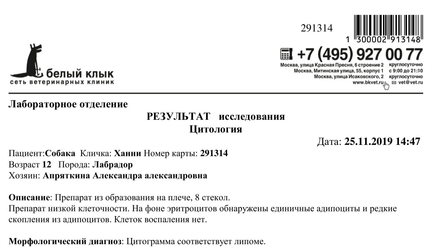 Сладким девочкам Лизе и Ханни навсегда 11 и 13 лет... В теме минус 244 тыс.  руб - Страница 16 - Мемориал - Лабрадор.ру собаки - ретриверы