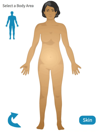 Female Homunculus