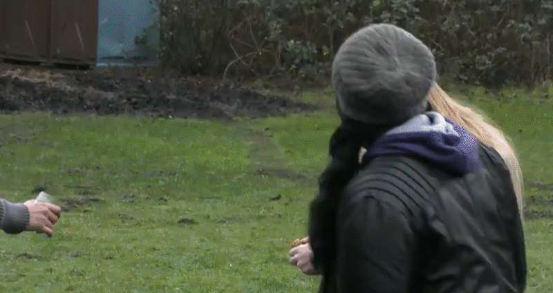 a774473664451a68b5c913519aeaa24c.gif