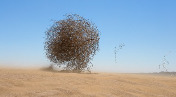 a7fb9b4a12cf709d37a688b11df61968.png