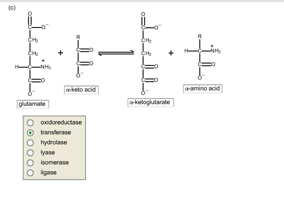 Solved For the enzymatically catalyzed reactions shown | Chegg.com