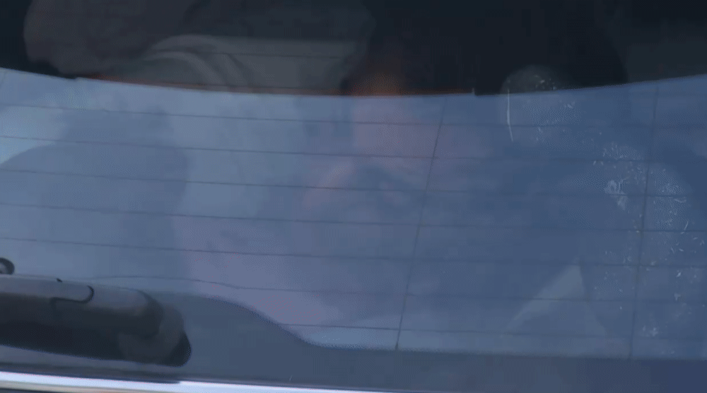 a8566b3f75a317a8d7159891fec292c5.gif
