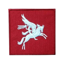 Ingame Shoulder Patch