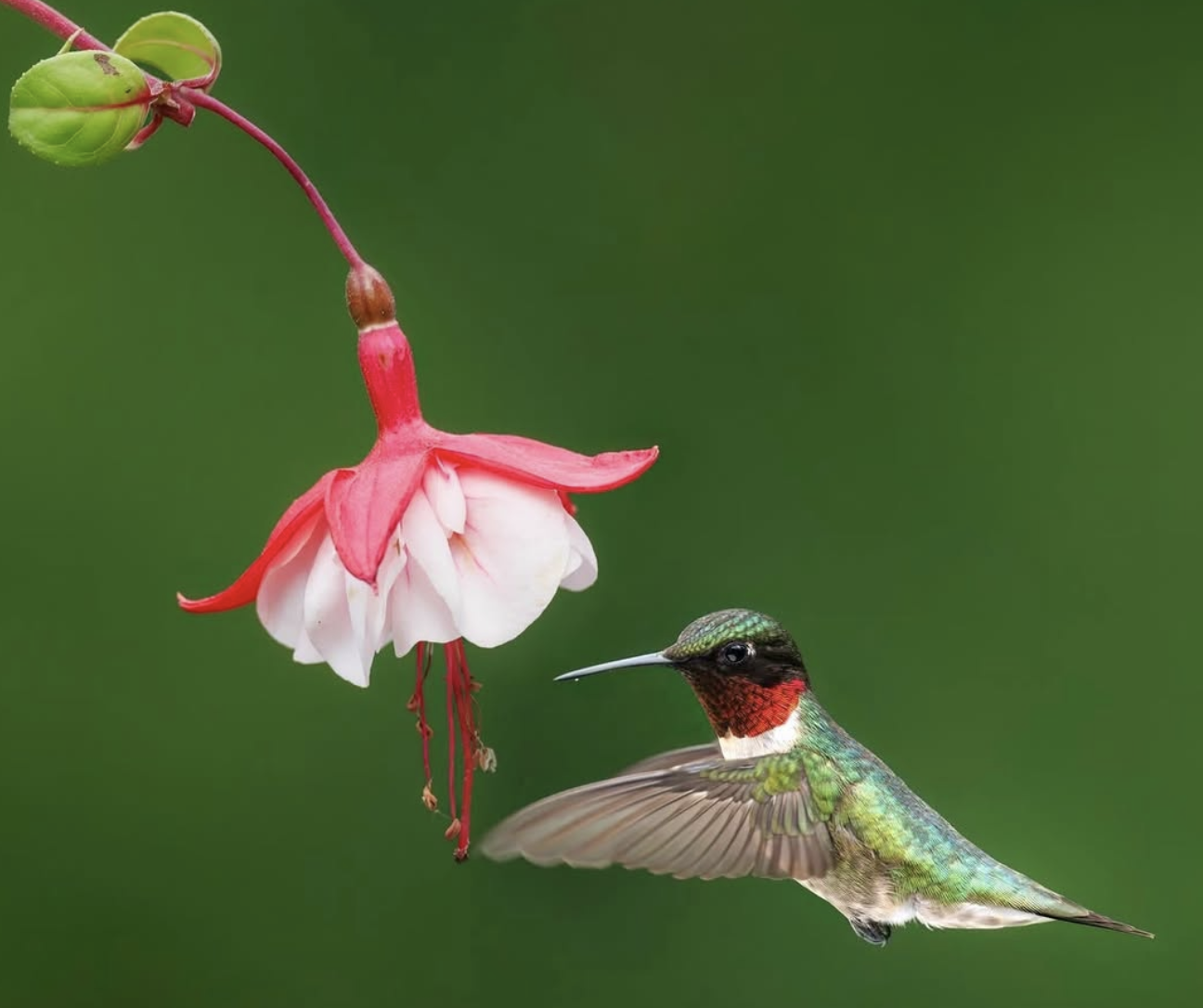 a89e062eab833b7ed4390b0e9f4bc111.png