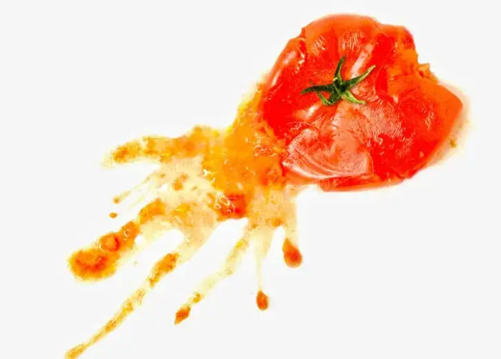 王子！嫁ムルーアと嫁ウルカノ、確保にいった結果ｗｗｗの参考画像 - わんにゃんランド - アイギス攻略まとめ