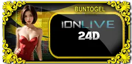 Casino 24D