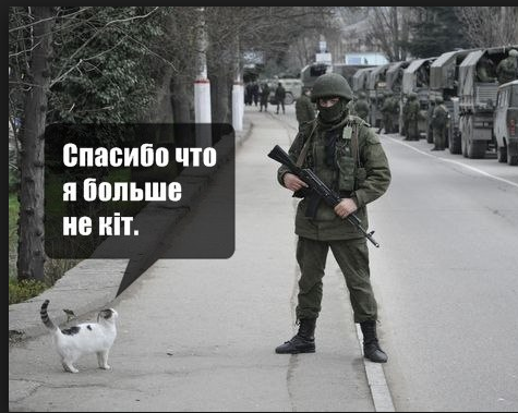 a935dc053ad7b9b60eb02cfe51f095e7.png