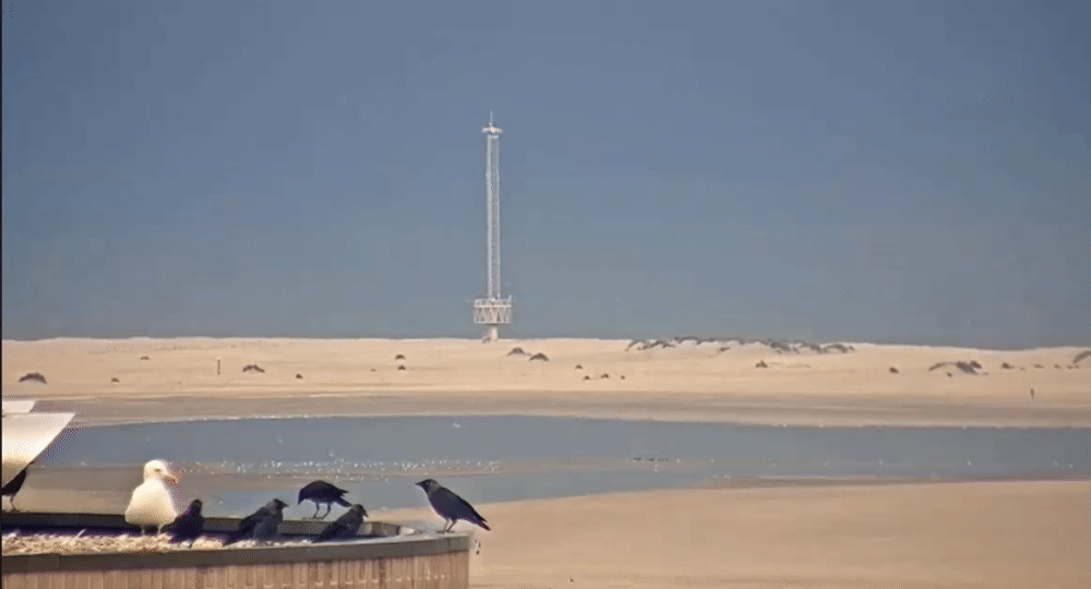 a94c0049c8e4581df4b37f27279b0d4d.gif