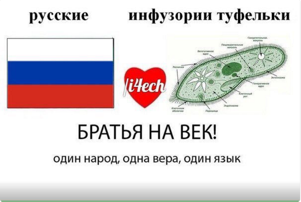США перебрасывают в Германию военную технику на случай агрессии РФ - Цензор.НЕТ 8832