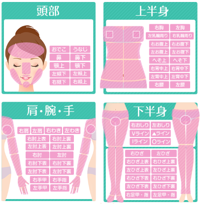 恋肌の脱毛範囲 恋肌の脱毛範囲