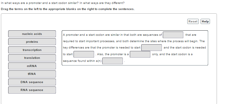 Solved In what ways are a promoter and a start codon | Chegg.com