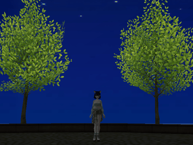 Image from Gyazo