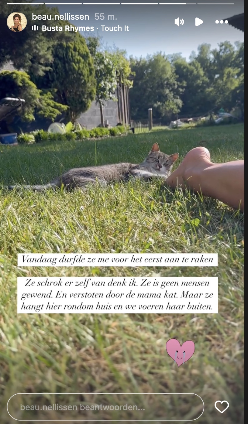 ab9f97da37e5906c27c5aab4c1894efb.jpg