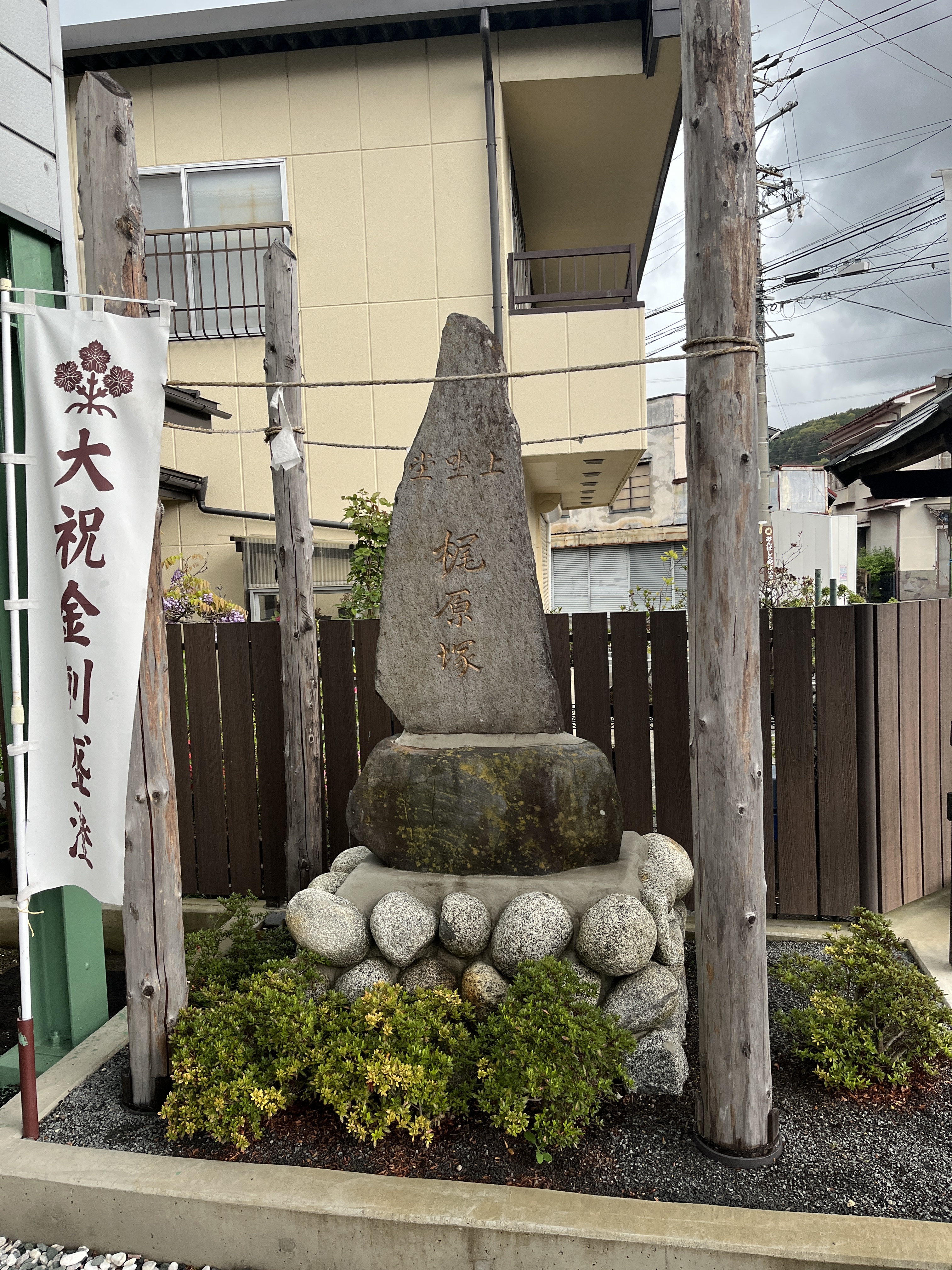 全景