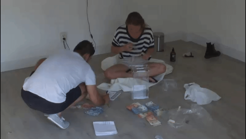 ace57c5e20706528ede4c571cd7afdb0.gif