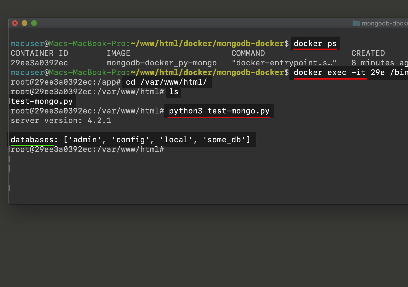 Screenshot of interactive Docker container with exec running Python PyMongo app