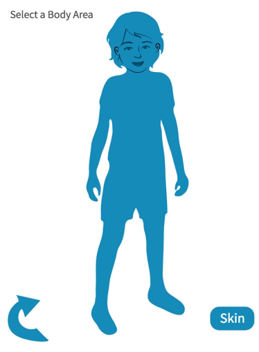 Child Homunculus