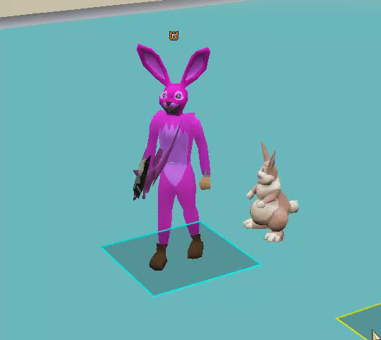 Bunny Pet