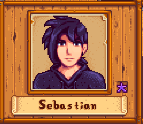 stardew valley sebastian