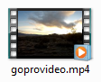 video source