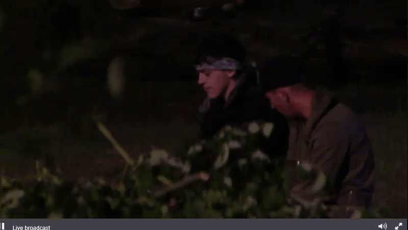 aebd8a2545354748fb6ae044e382ea50.gif
