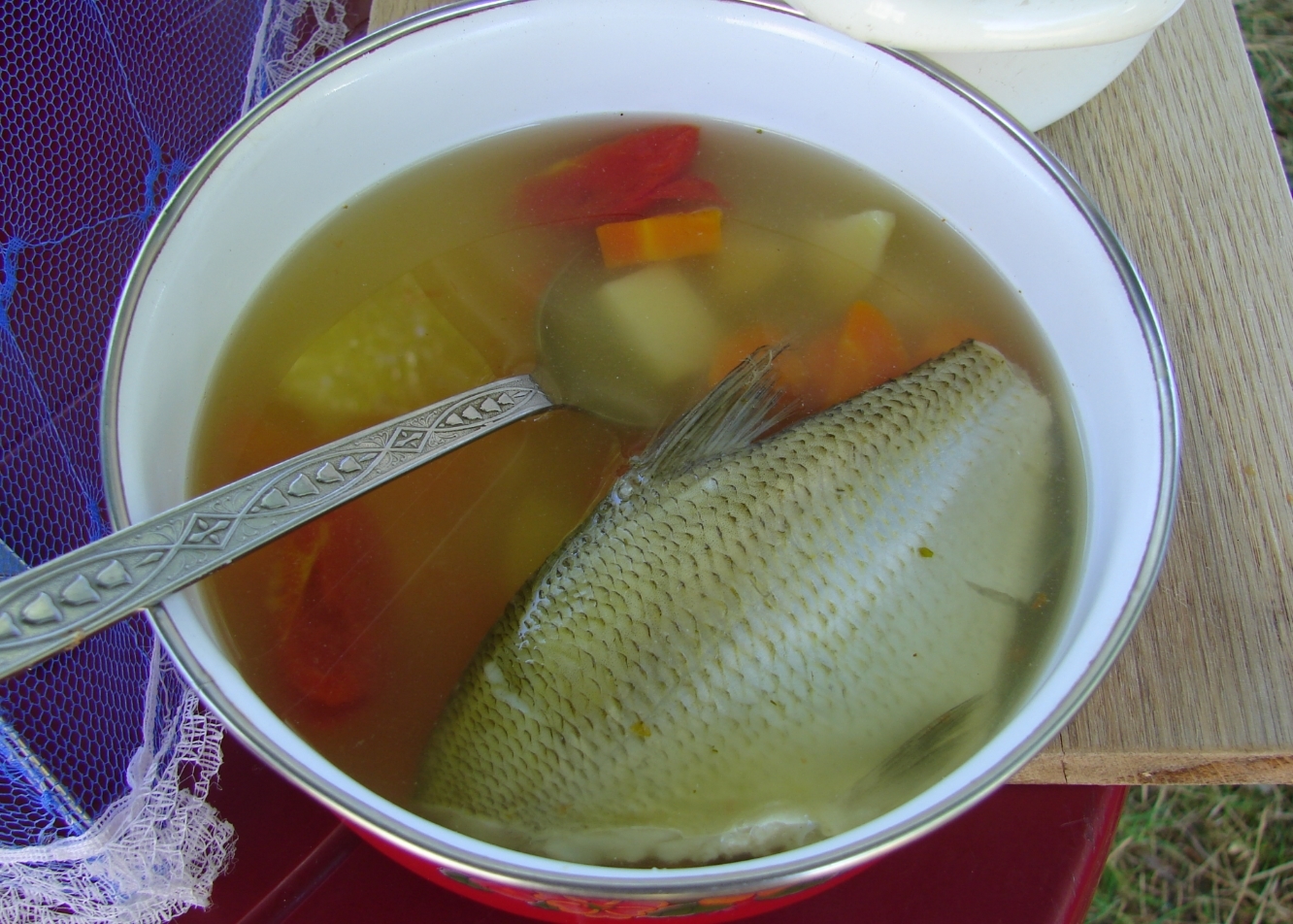[Image: af5a7e386a04b823f400489cae3f1a13.jpg]