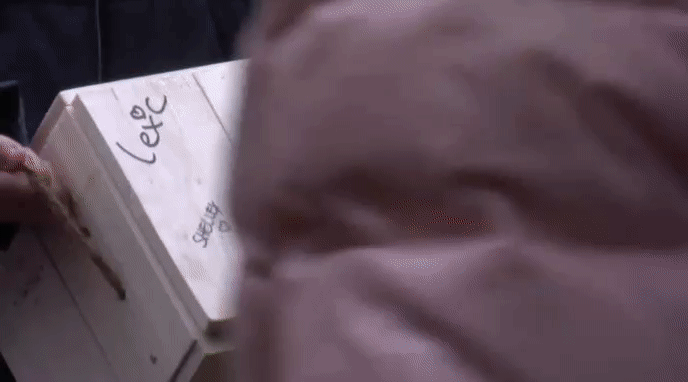 b1998a024f3b5b5e56a7affc5535662e.gif
