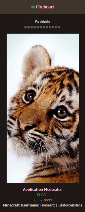 b1a28b0fffae8e7632e4a48cc60a1303.png