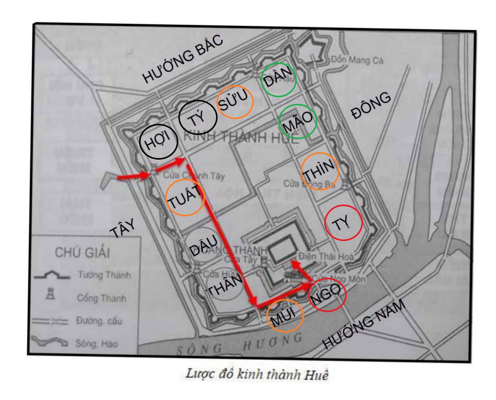 Hình ảnh