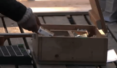 b241cf26d33094a7d007daaea6106d55.gif