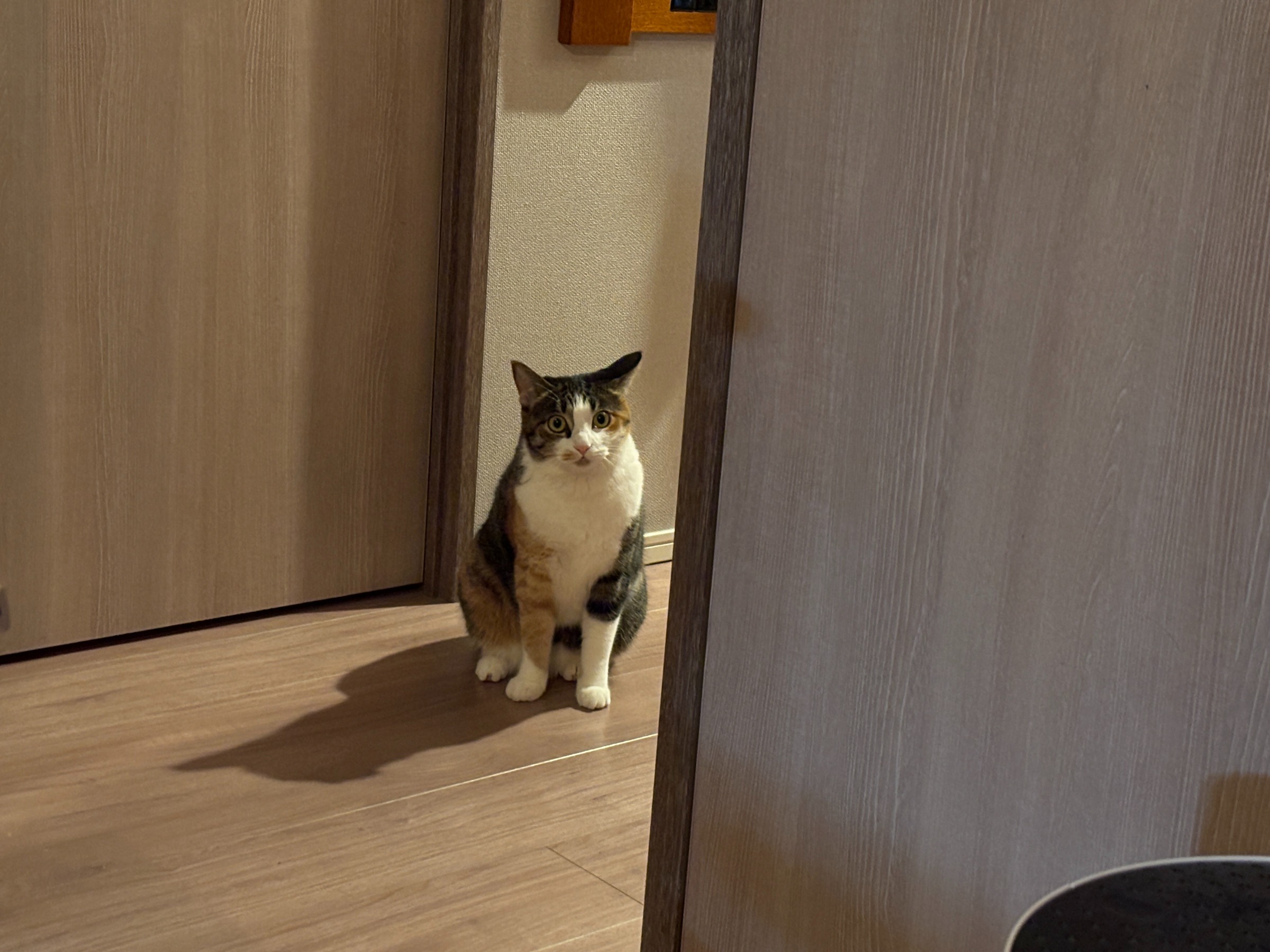 20250322 慣れない場所の作業キツイ