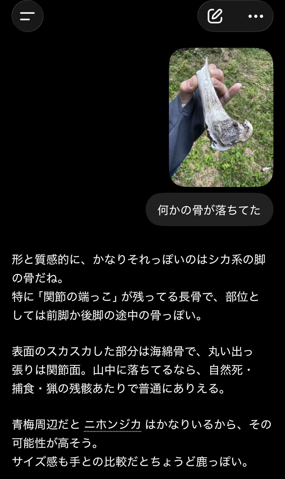 https://i.gyazo.com/b2aa7a9e2e018ec42f41870cb15d9733.jpg