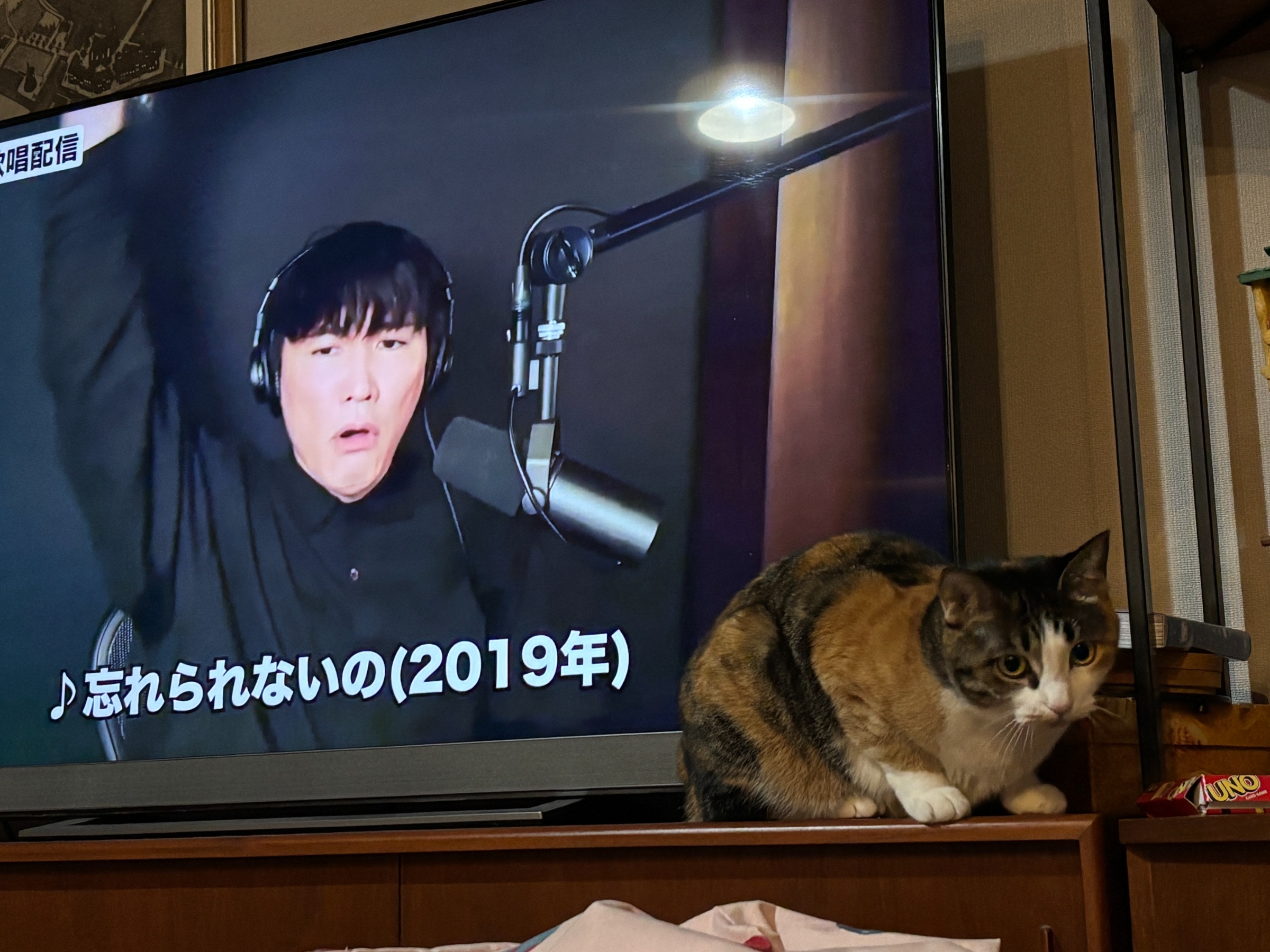 20250303 自由を求める言語