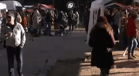 b45f59e6e4fd2412811698c7a230a0c9.gif