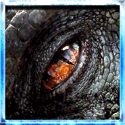 b4a49970e1b9e8e58c9d7d793e908455.gif