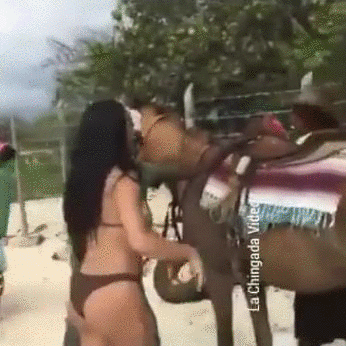 b4a9ed05a213935237ae9c92e65b2131.gif