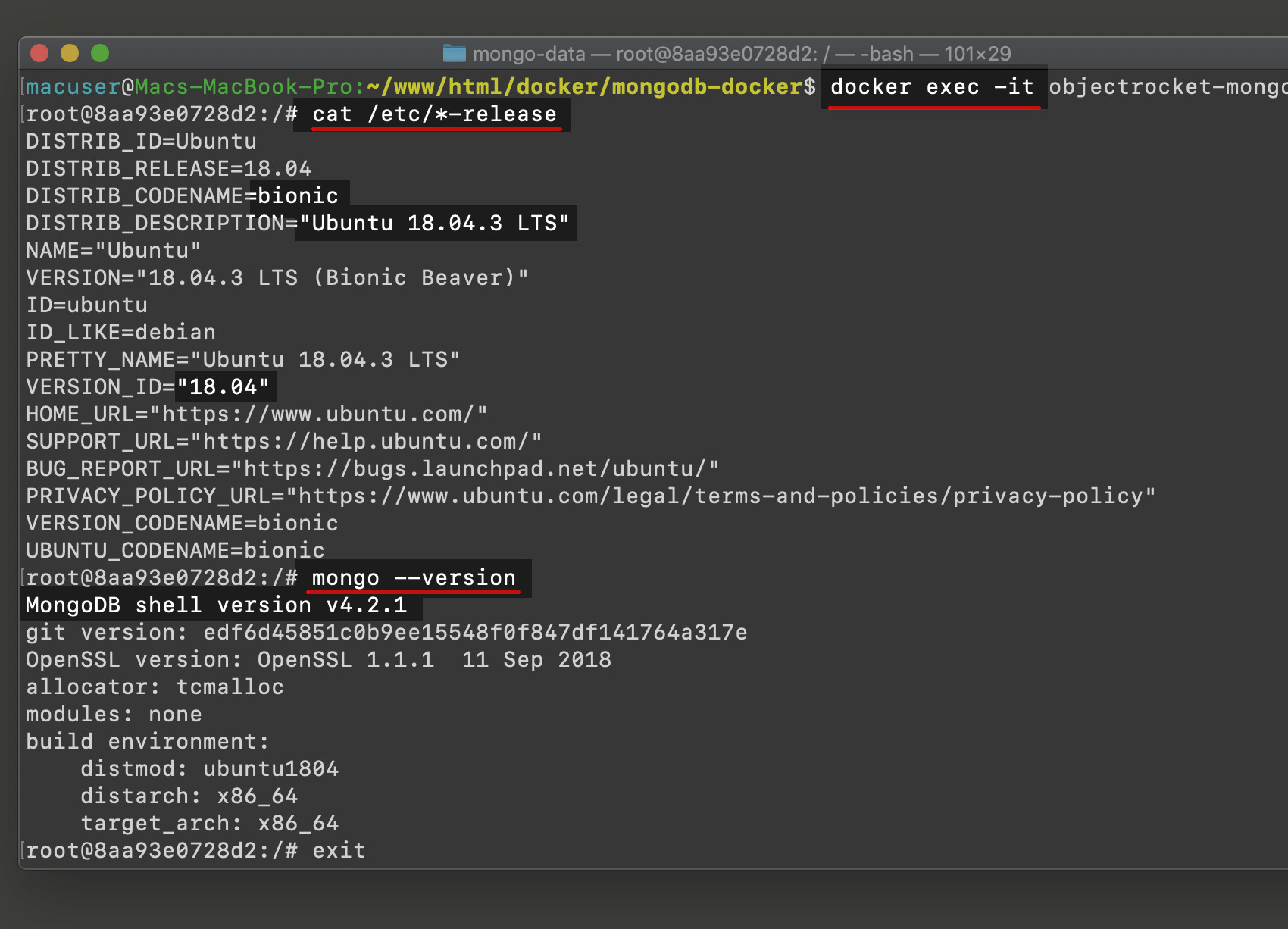 Screenshot of the bash terminal inside of a MongoDB Docker container