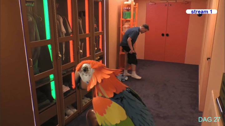 b4f3fdfb2ff8d1665aa91e74d06694ec.gif