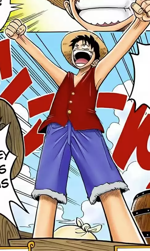 Cuanto Vale La Cabeza De Luffy