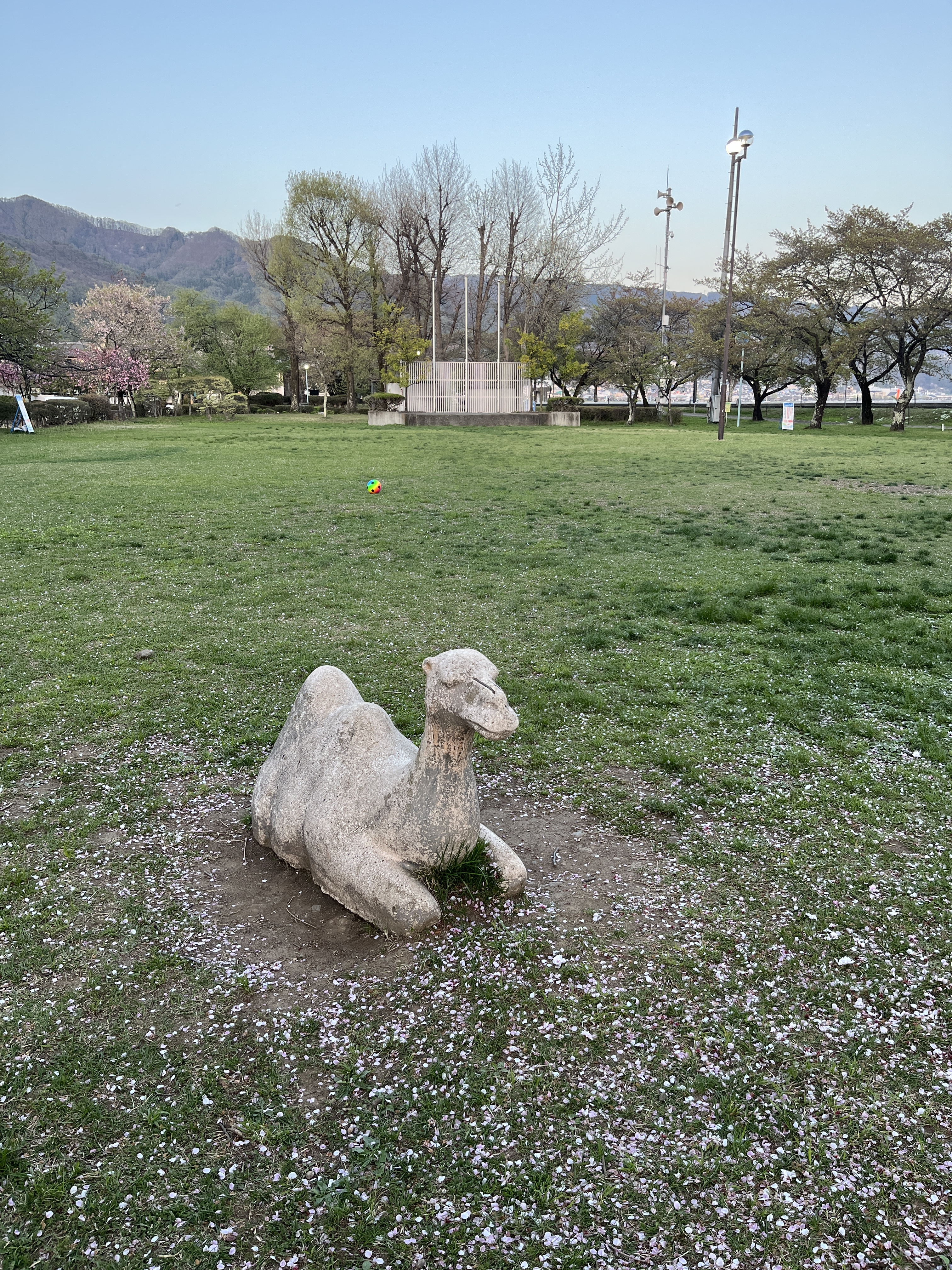 みずべ公園の芝生広場