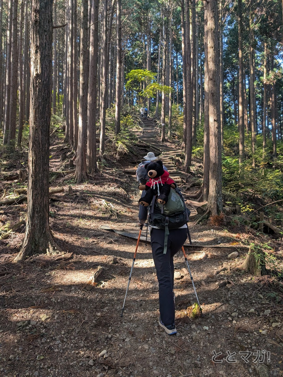 最後のひと登り!