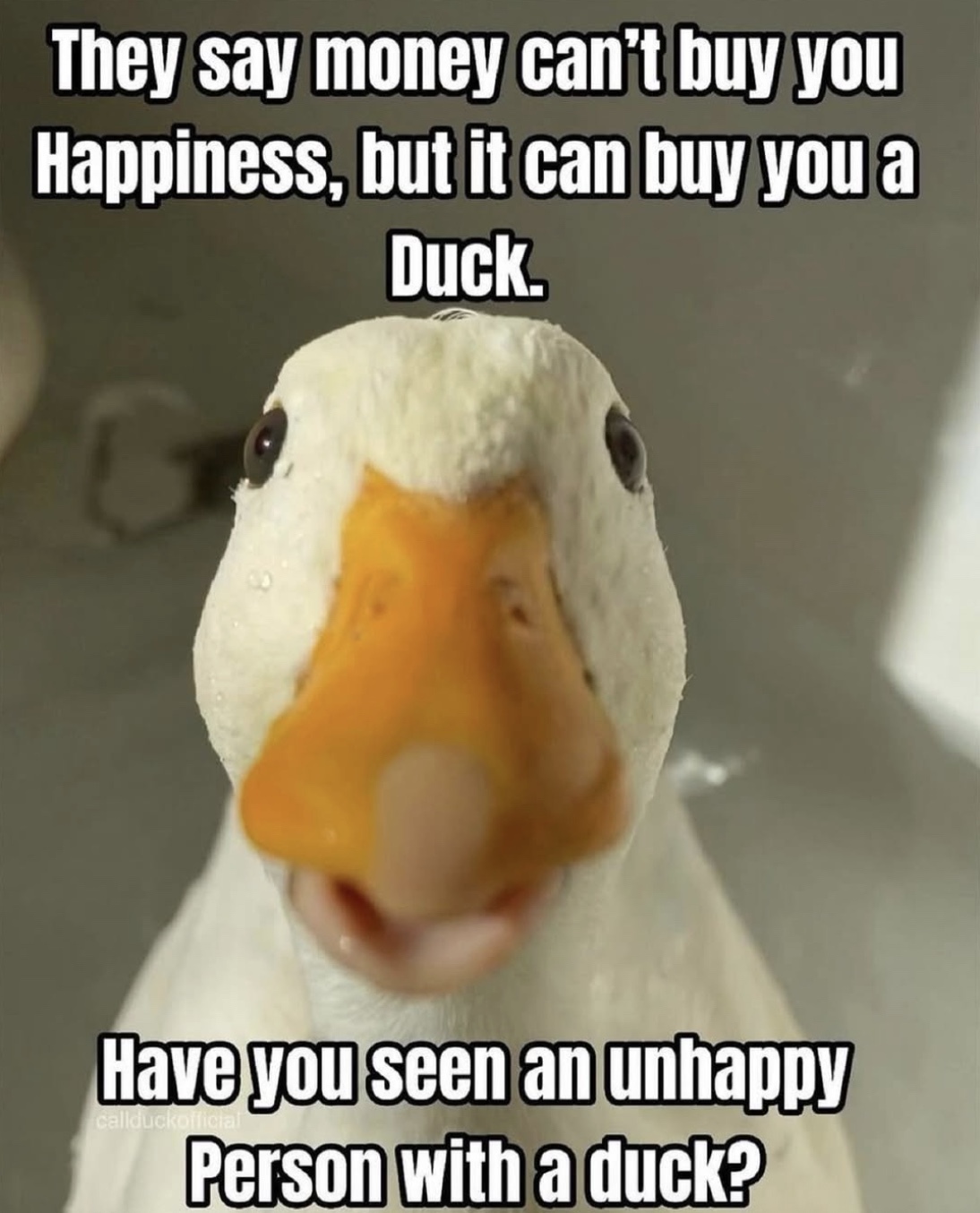 b6fb9be4d188f532a899983b966eb9b1.jpg