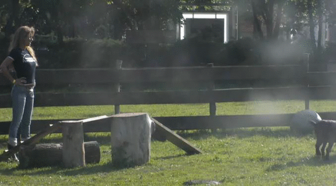 b88430fc5276dd9cae91b7c5790de31f.gif