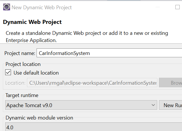 Image shows the dynamic web project window